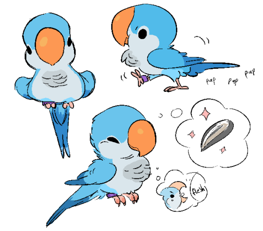 540x473 Animal Character Design, Birds, Quaker Parrot By Zooque Find