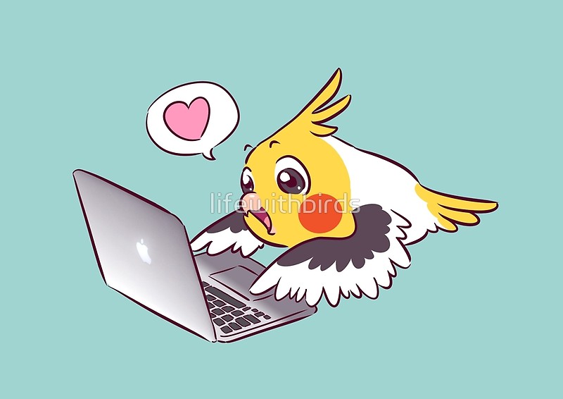 800x566 Nerdy Cockatiel Cute Drawing Macbook Bird Parrot Canvas Prints By