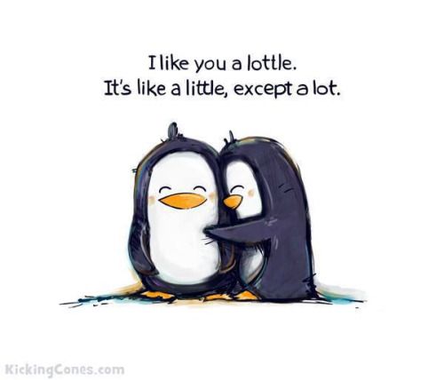 500x428 Little Penguin Drawing Little Penguins Hug You Cute Stuff