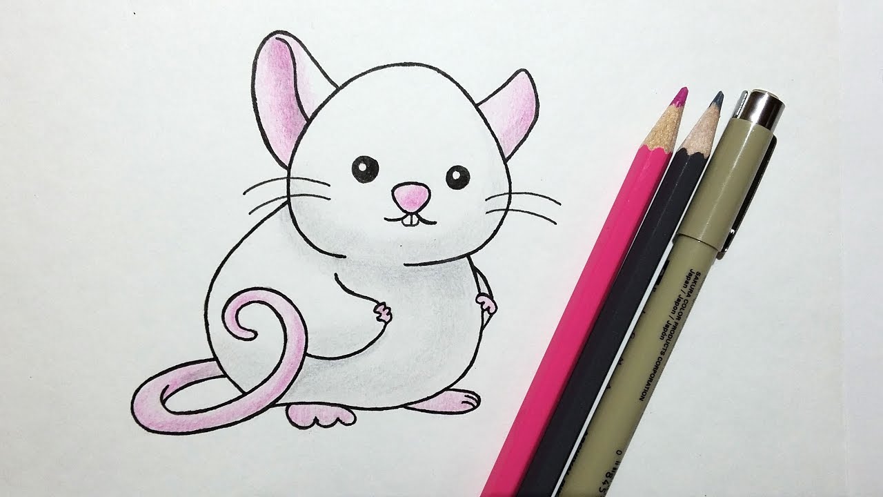 1280x720 How To Draw A Cute Cartoon Rat With Colored Pencils