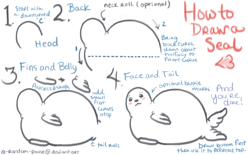800x500 How To Draw A Cute Cartoony Seal By A Random Pause