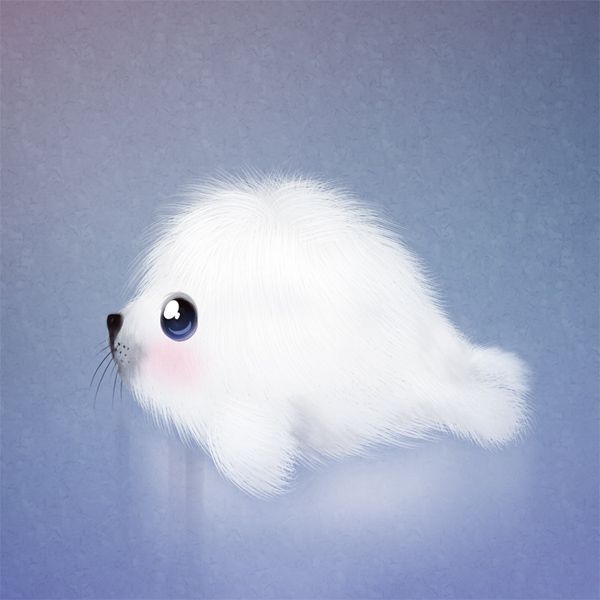 600x600 Cute Seal