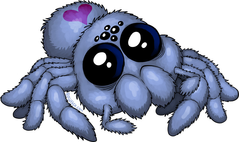 800x478 Cute Blue Spider Stickers By Bogleech Redbubble