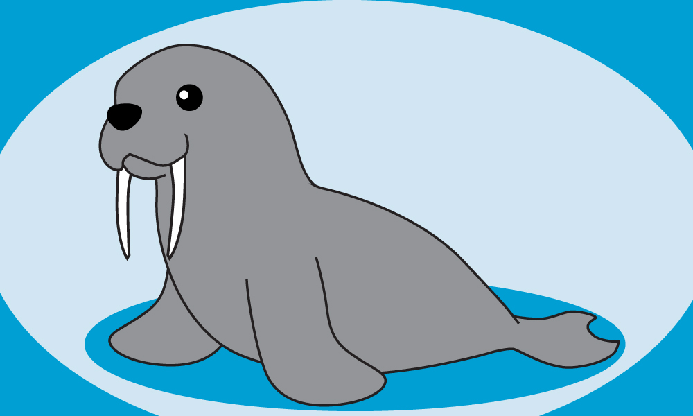 Cute Walrus Drawing at GetDrawings | Free download