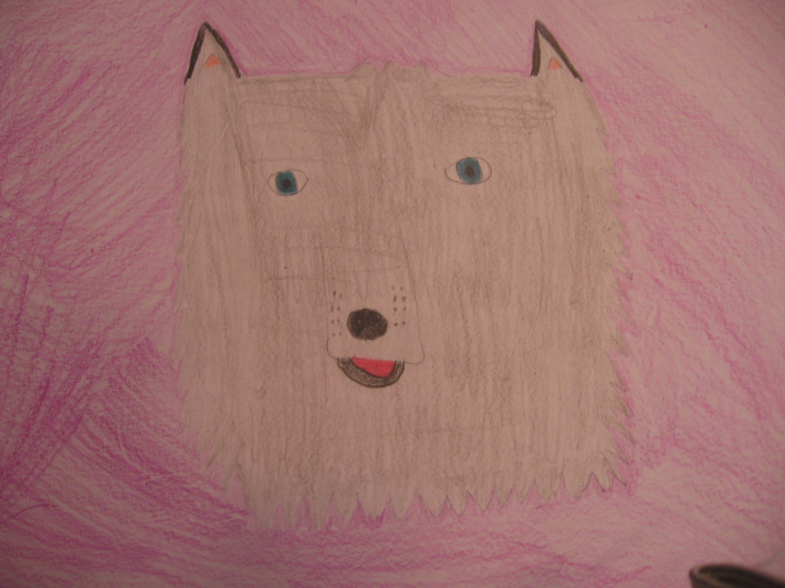 1600x1200 Cute Wolf Pup By Soccerchic999