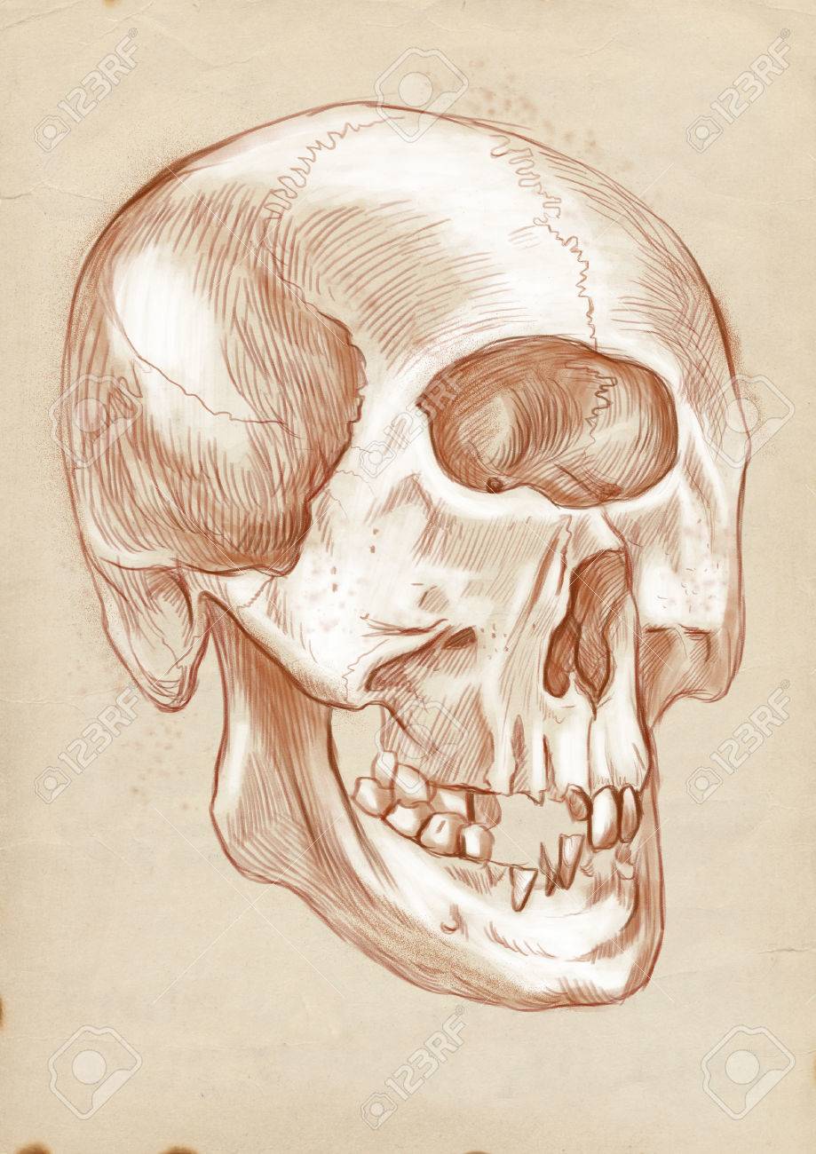 919x1300 Illustration Of A Series Of Legendary Animals And Monsters