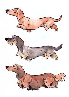 236x330 Dogs Lt3 Illustration Tacsik Illustrators, Dog