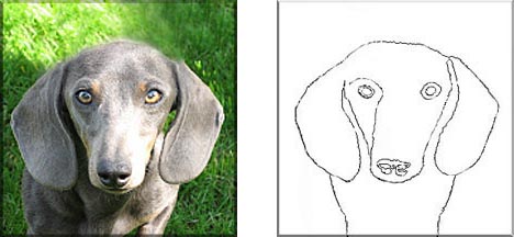 468x216 Dachshunddrawingaaa.jpg