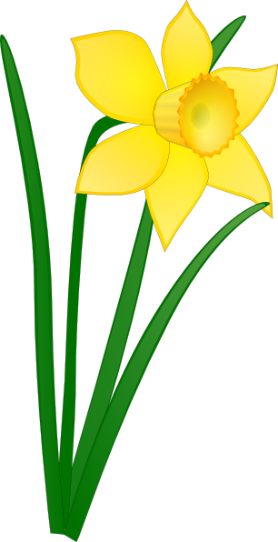 306x596 Daffodil Clip Art