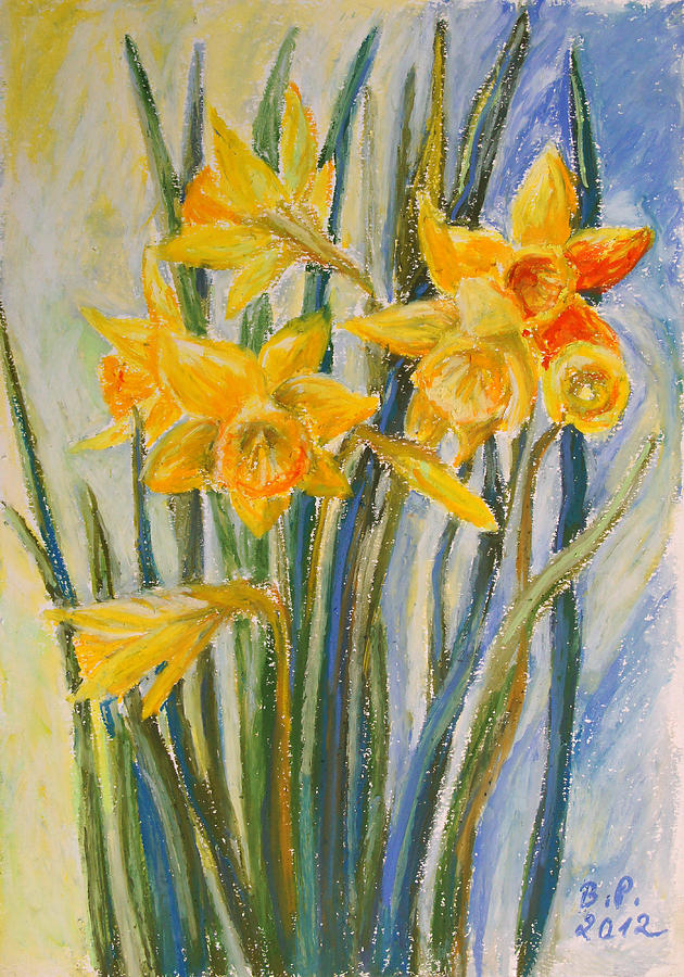 630x900 Daffodils Drawing By Barbara Pommerenke