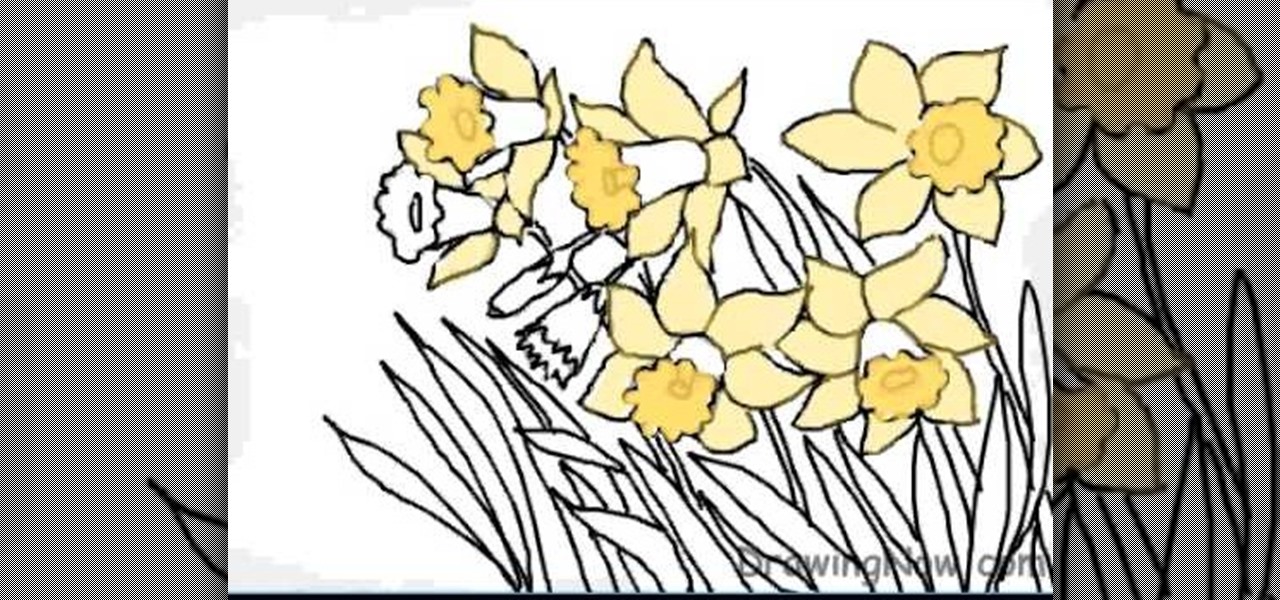 1280x600 How To Draw Daffodils Drawing Amp Illustration Wonderhowto