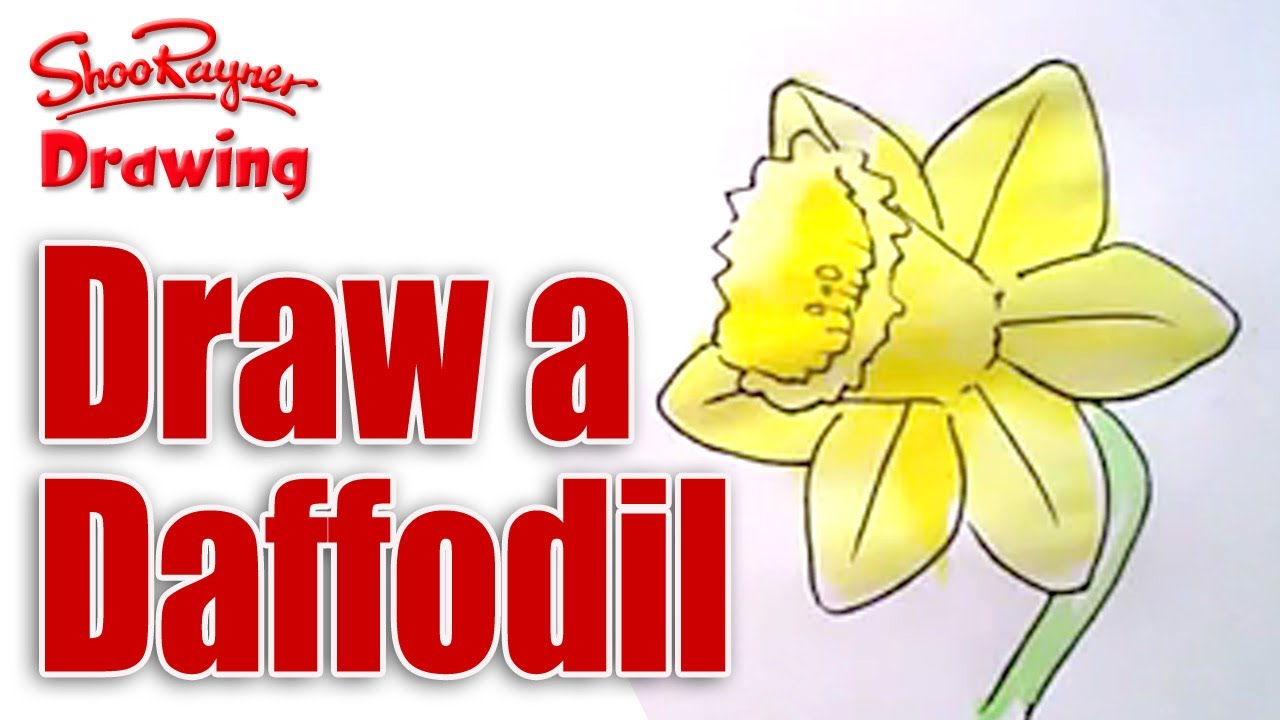 1280x720 How To Draw Daffodils
