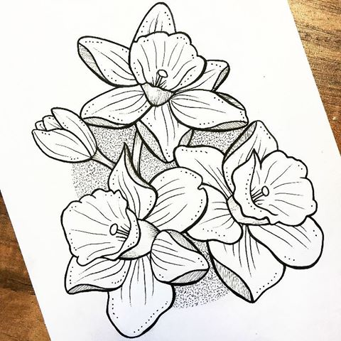 480x480 Jesi Garcia (@strangegraves) Instagram Photos And Videos