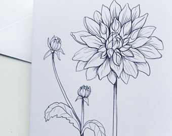 340x270 Antique Original Botanical Drawing Antique Botanic Drawing