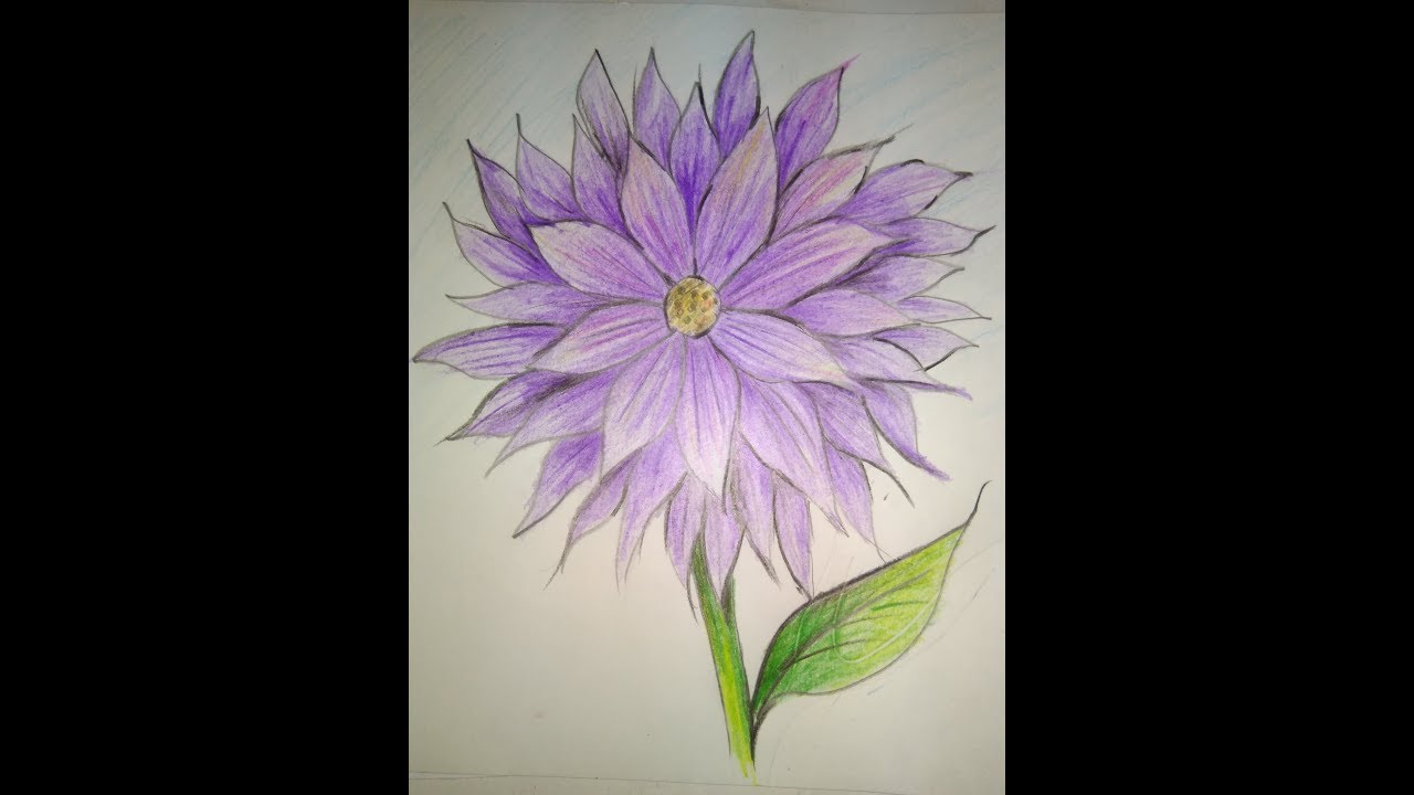 1280x720 Dahlia How To Draw A Dahlia Flower Step By Step Flower Very