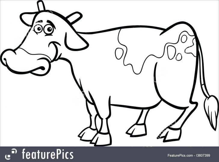 728x540 Dairy Cow Wear Ringing Bell Coloring Pages For Kids Free Bells