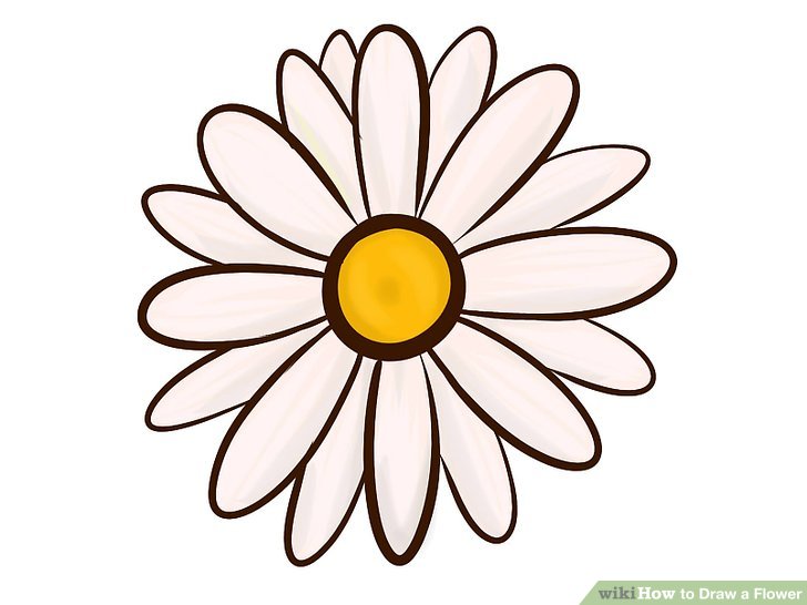 728x546 9 Easy Ways To Draw A Flower