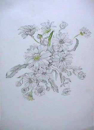 315x432 Joan Berg Victor Drawing Wild Daisies Item 503918