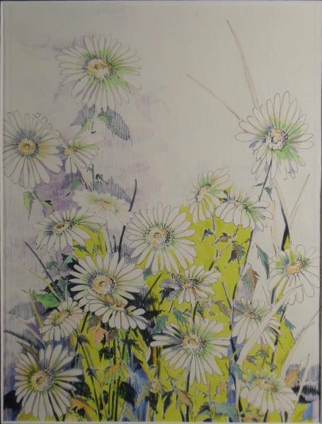 455x600 Robert I. Castner Colored Pencil Drawing Of Daisies.