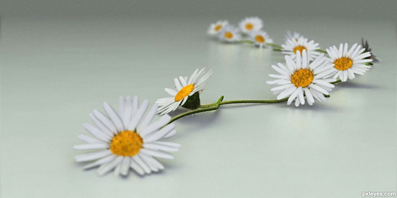 1280x640 Daisy Chain Picture, By Dante For In Chains 3d Contest