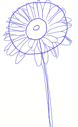250x407 How To Draw A Daisy