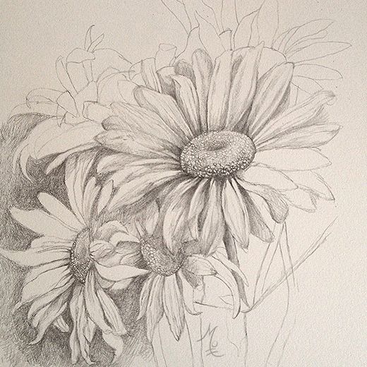 520x520 Hipster Drawings