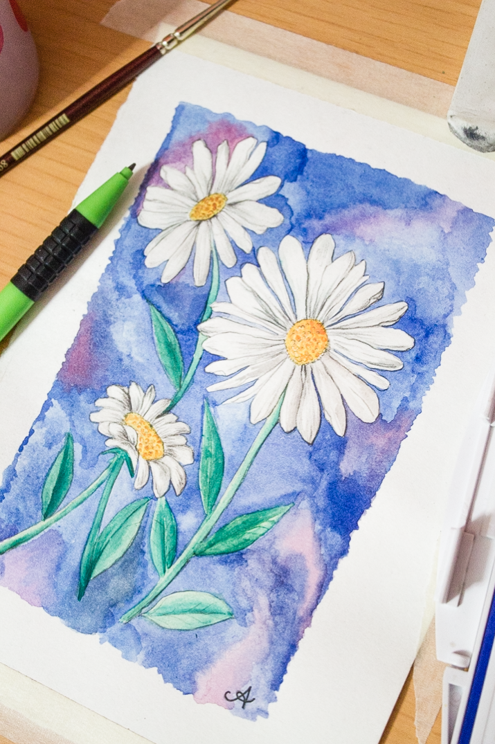 715x1075 Draw + Paint A Daisy In Watercolour Surely Simple