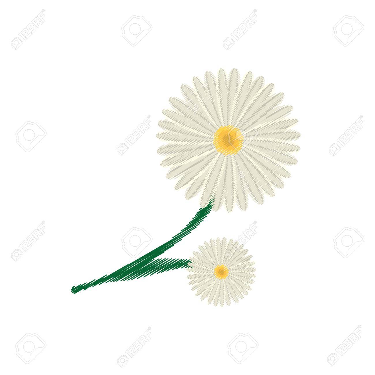 1300x1300 Drawing Daisy Flower Ornament Image Vector Illustration Eps 10