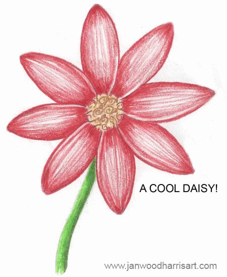 450x548 How To Draw A Daisy