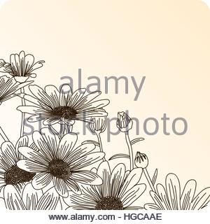 300x320 Sketch Contour Of Hand Drawing Daisy Flower With Several Petals
