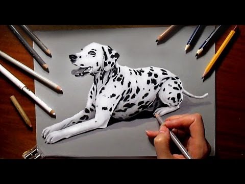 480x360 Pencil Drawing Of A Dalmatian Dog
