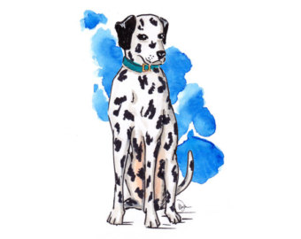 340x270 Dalmatian Drawing Etsy