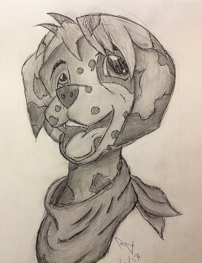 783x1020 Furry Dalmatian By Shadowdash0