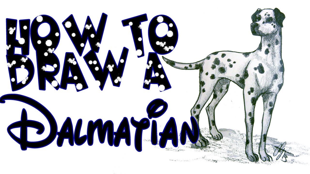 1280x720 How To Draw A Dalmatian Dog