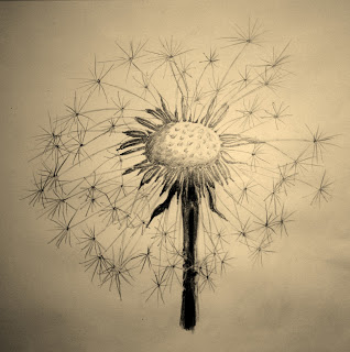 Dandelion Blowing Drawing at GetDrawings | Free download