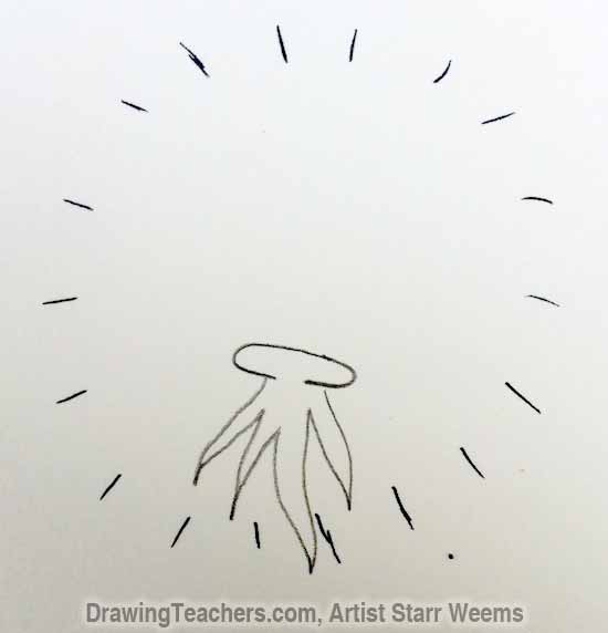 550x572 How To Draw A Dandelion