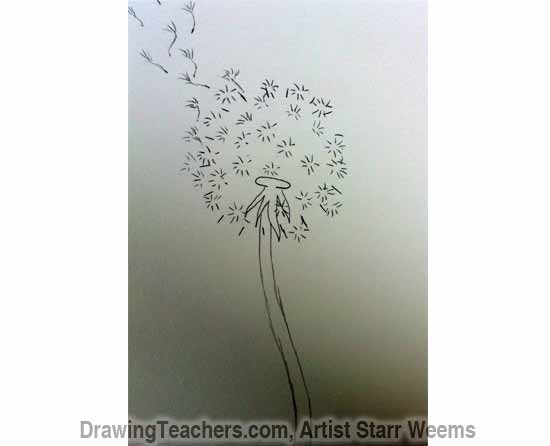 550x446 How To Draw A Dandelion 04.jpg
