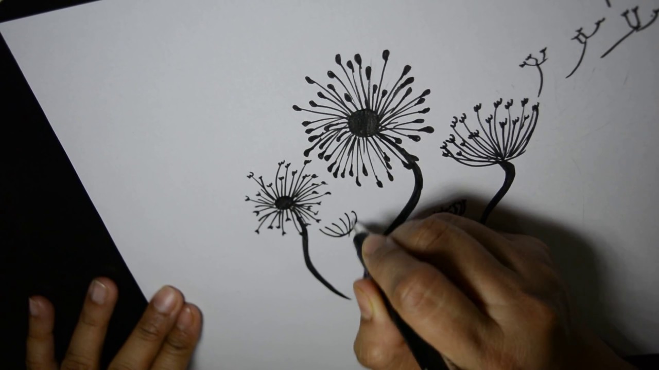 1280x720 How To Draw Dandelions Step By Step