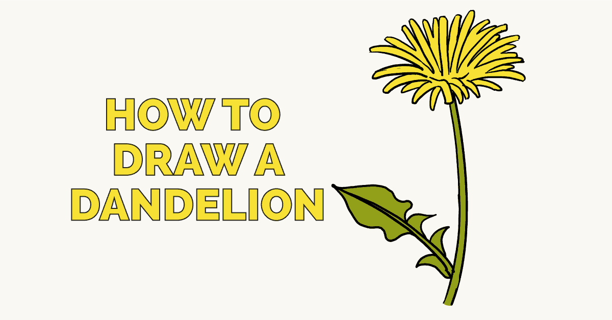 1200x628 How To Draw A Dandelion