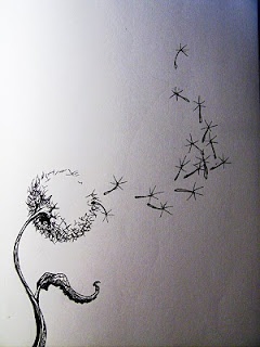 240x320 Dandelion Drawing