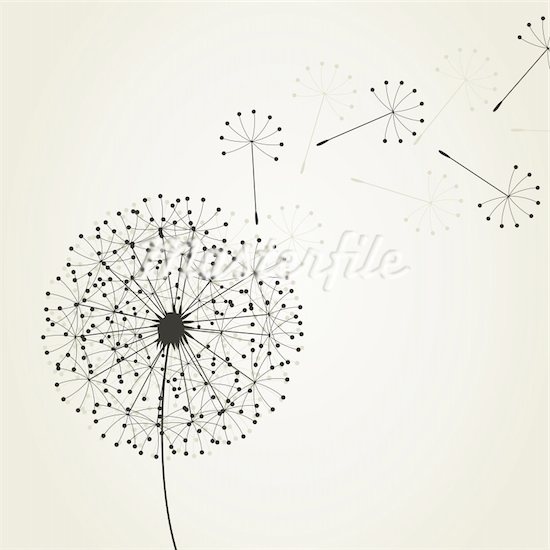 550x550 Dandelion Watercolor Dandelion Photo, Watercolor Amp Drawings