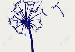 300x210 Dandelion Flower Drawing