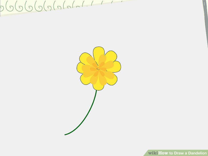 728x546 How To Draw A Dandelion 8 Steps (With Pictures)