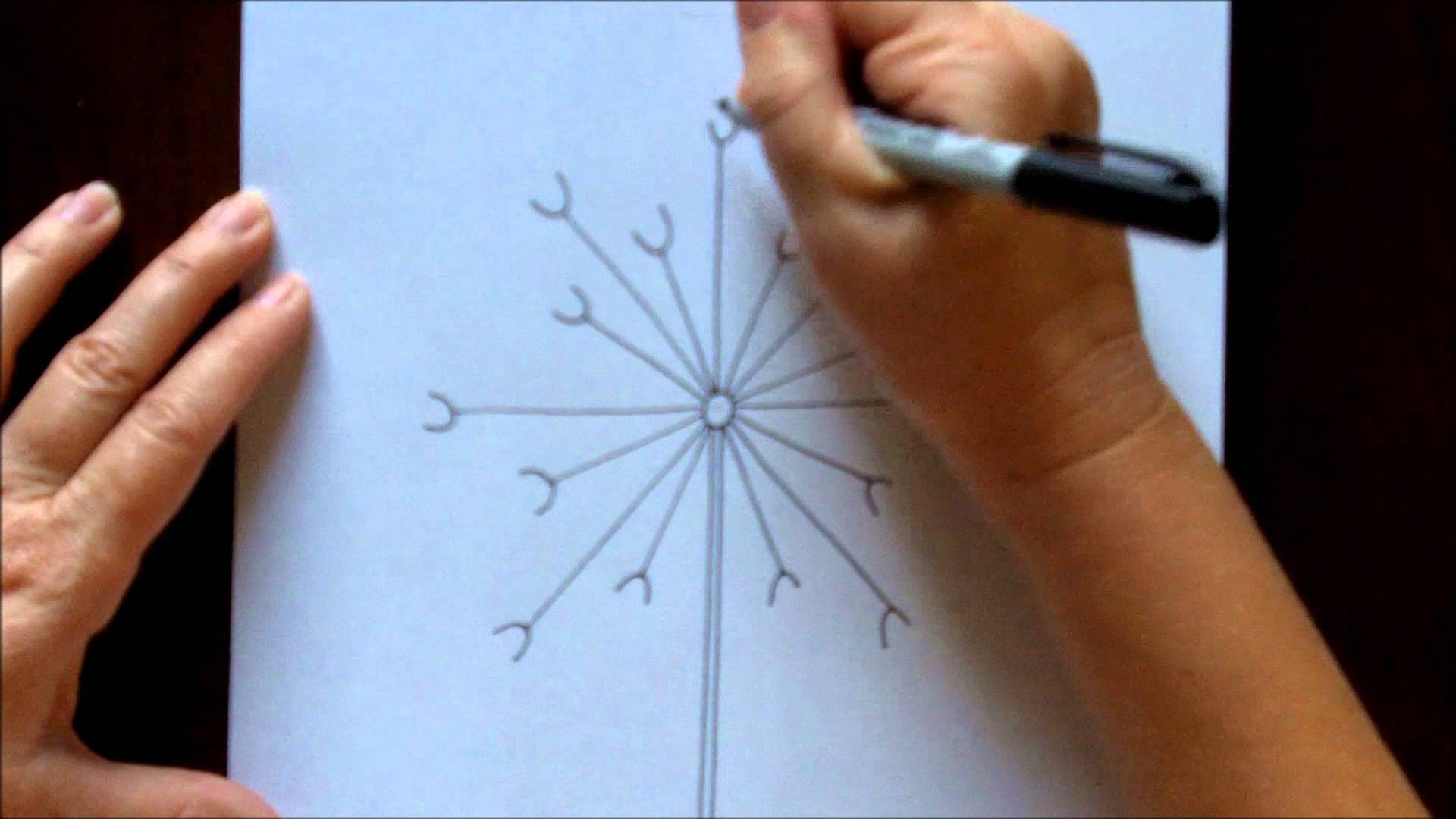 1920x1080 How To Draw A Dandelion Easy Free Drawing Tutorial For Beginners