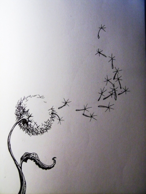 300x400 Love The Idea Behind Dandelion Drawingstats Live