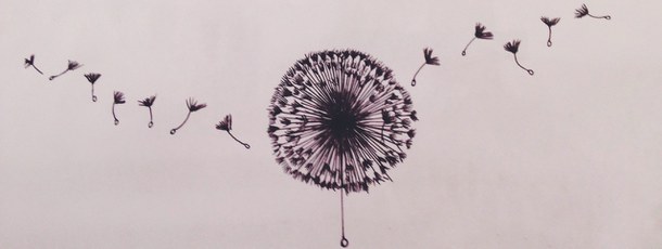 610x230 Cute, Dandelions, Drawing, Flower, Free Hand