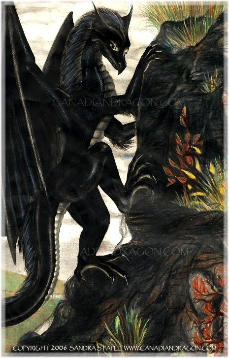 465x727 Canadian Dragon Fantasy Art Original Black Female Dragon Drawing