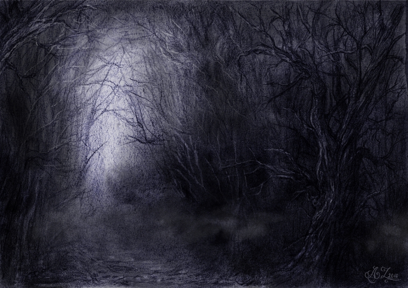 800x565 Dark Forest By Azielonko