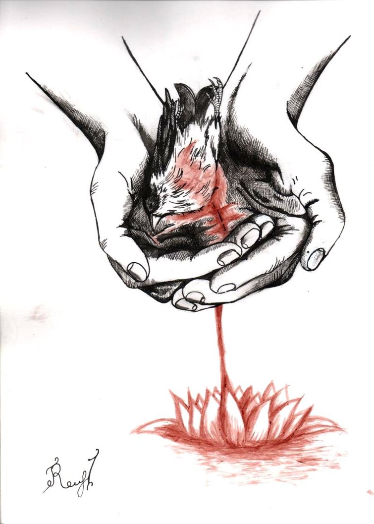 755x1057 Dead Bird In Hand By Raccoon Psychopath