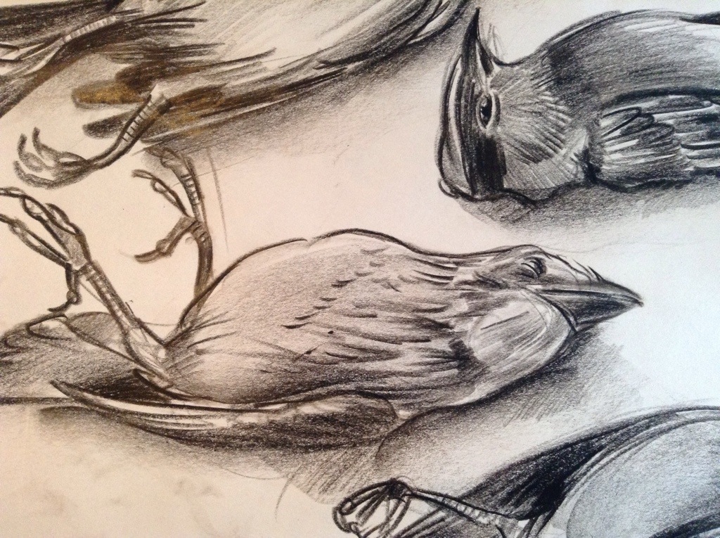 1024x765 Special Sale Dead Bird Collection Embroidered Drawings